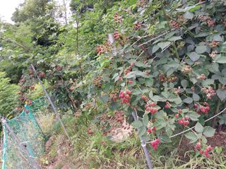 해안로님의 자유주제 · 자유게시판 작성글 사진