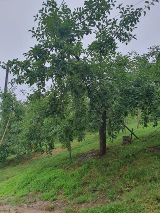 이훈희님의 사과 · 일상 작성글 사진