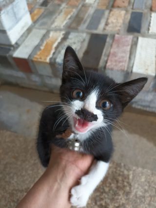 김은숙님의 자유주제 · 자유게시판 작성글 사진