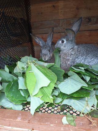김은숙님의 자유주제 · 자유게시판 작성글 사진