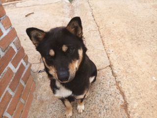 김은숙님의 자유주제 · 자유게시판 작성글 사진