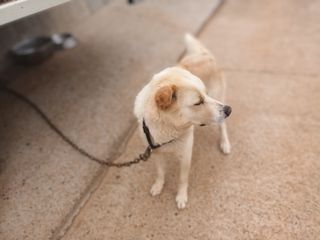 김은숙님의 자유주제 · 자유게시판 작성글 사진