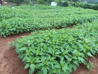 김은숙님의 자유주제 · 자유게시판 작성글 사진