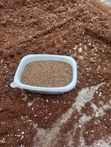 팜모닝 자유주제·자유게시판 게시글 이미지