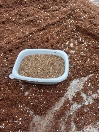 당진수농원박선이님의 자유주제 · 자유게시판 작성글 사진