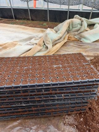 당진수농원박선이님의 자유주제 · 자유게시판 작성글 사진