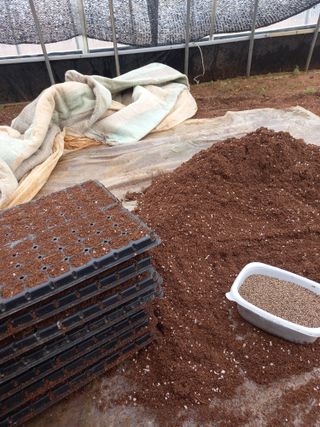 당진수농원박선이님의 자유주제 · 자유게시판 작성글 사진