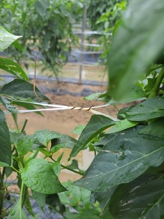 이만영님의 장마 대비 어떻게 하셨나요? · 참여 작성글 사진