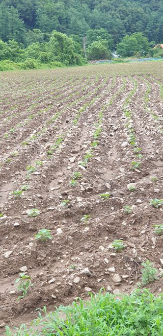 박춘식님의 자유주제 · 자유게시판 작성글 사진