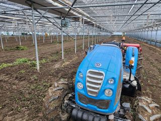 김지연님의 토마토 · 토양준비 작성글 사진