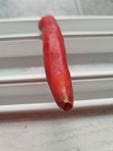 팜모닝 고추·병해충상담 게시글 이미지