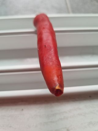 ja72850911님의 고추 · 병해충상담 작성글 사진