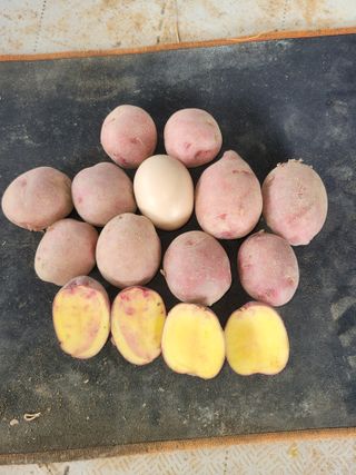 딸랑구와땡보님의 작성글 사진