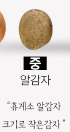 딸랑구와땡보님의 작성글 사진