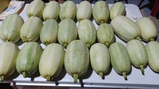 산성골농장님의 작성글 사진