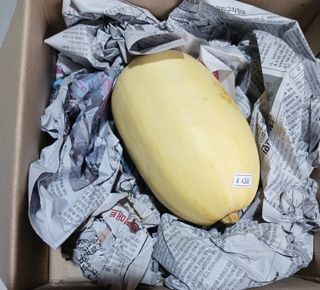 산성골농장님의 작성글 사진