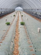 팜모닝 기타작물·자유게시판 게시글 이미지