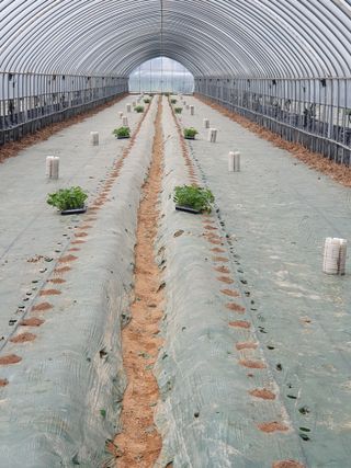 최영수님의 기타작물 · 자유게시판 작성글 사진