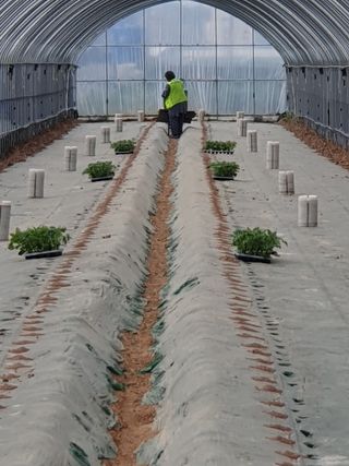 최영수님의 기타작물 · 자유게시판 작성글 사진