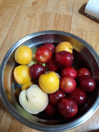 조동원님의 자두 · 자유게시판 작성글 사진