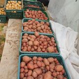 팜모닝 우리동네·동네자랑 게시글 이미지