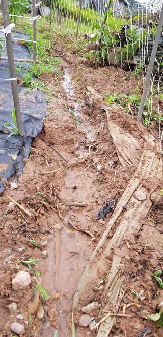 즐건형님의 장마 대비 어떻게 하셨나요? · 참여 작성글 사진