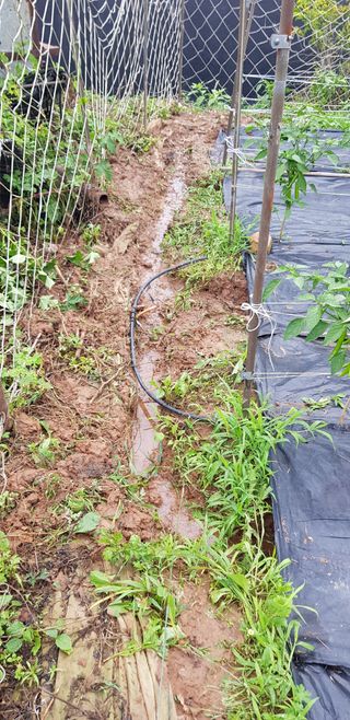 즐건형님의 장마 대비 어떻게 하셨나요? · 참여 작성글 사진