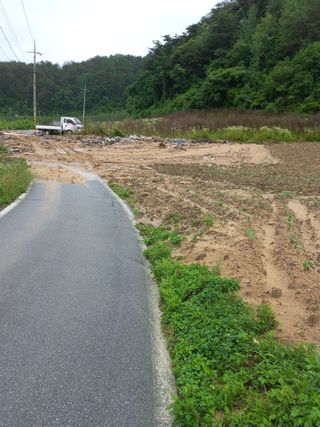 이성수님의 콩 · 자유게시판 작성글 사진