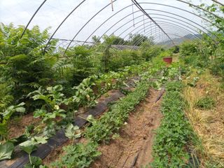 김경수님의 기타작물 · 자유게시판 작성글 사진