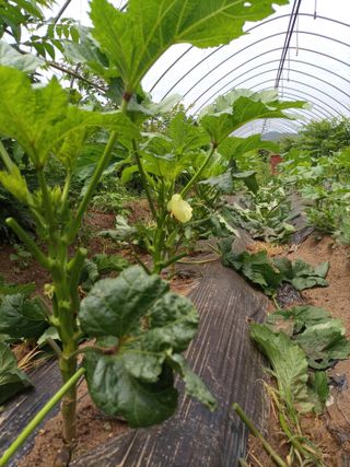 김경수님의 기타작물 · 자유게시판 작성글 사진