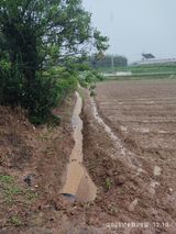 팜모닝 장마 대비 어떻게 하셨나요?·참여 게시글 이미지