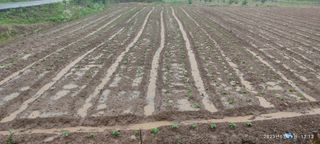 양성천님의 장마 대비 어떻게 하셨나요? · 참여 작성글 사진