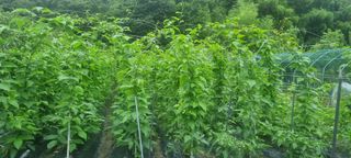 하동써니님의 자유주제 · 자유게시판 작성글 사진