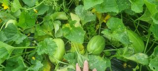 하동써니님의 자유주제 · 자유게시판 작성글 사진