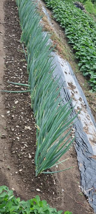 하동써니님의 자유주제 · 자유게시판 작성글 사진