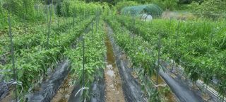 하동써니님의 자유주제 · 자유게시판 작성글 사진