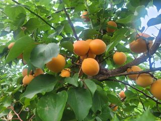 김백식님의 자유주제 · 자유게시판 작성글 사진