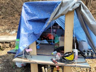 최도경님의 감 · 자유게시판 작성글 사진