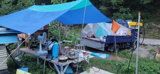 최도경님의 감 · 자유게시판 작성글 사진