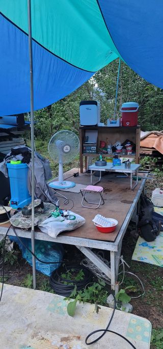 최도경님의 감 · 자유게시판 작성글 사진