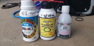 전명우님의 고추 · 영농일지 작성글 사진