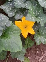 팜모닝 자유주제·사진전 게시글 이미지