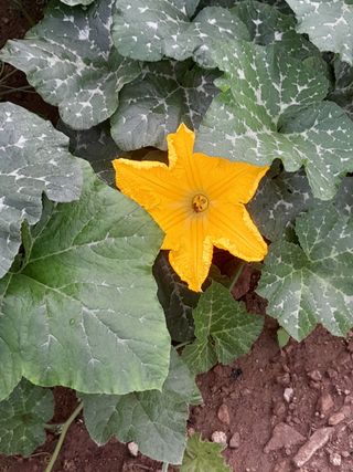 박정애님의 자유주제 · 사진전 작성글 사진