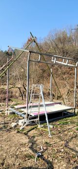 팜모닝 감·자유게시판 게시글 이미지