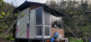 최도경님의 감 · 자유게시판 작성글 사진