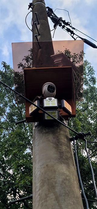 최도경님의 감 · 자유게시판 작성글 사진