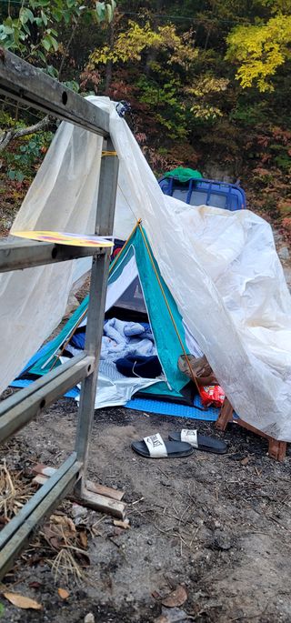 최도경님의 감 · 자유게시판 작성글 사진