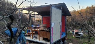 최도경님의 감 · 자유게시판 작성글 사진