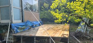 최도경님의 감 · 자유게시판 작성글 사진