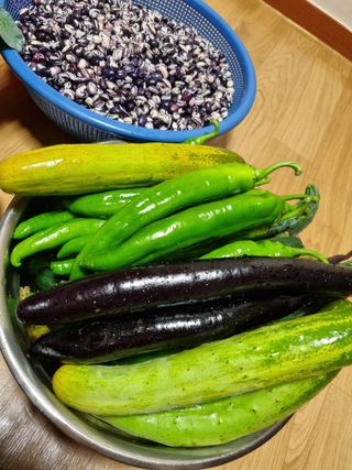 김 기 동님의 벼 · 영농일지 작성글 사진